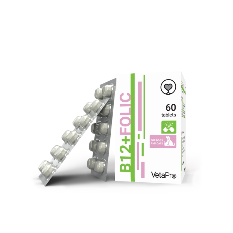 B12 FOLIC 60κάψουλες