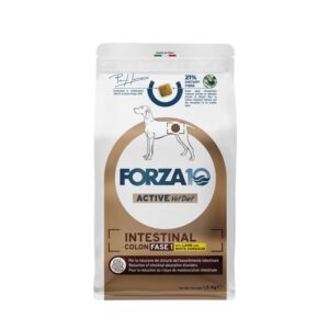 FORZA 10 Dog Intestinal Colon Fase 1 με αρνί & σόργο