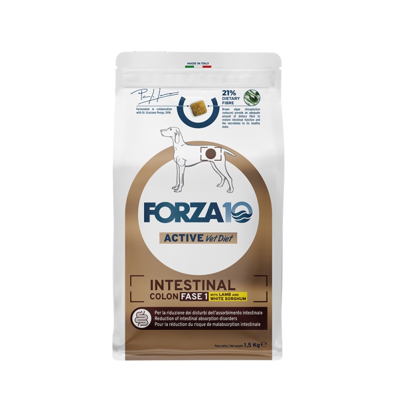 FORZA 10 Dog Intestinal Colon Fase 1 με αρνί & σόργο