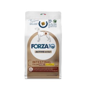 FORZA 10 Dog Intestinal Colon Fase 2 με αρνί & σόργο