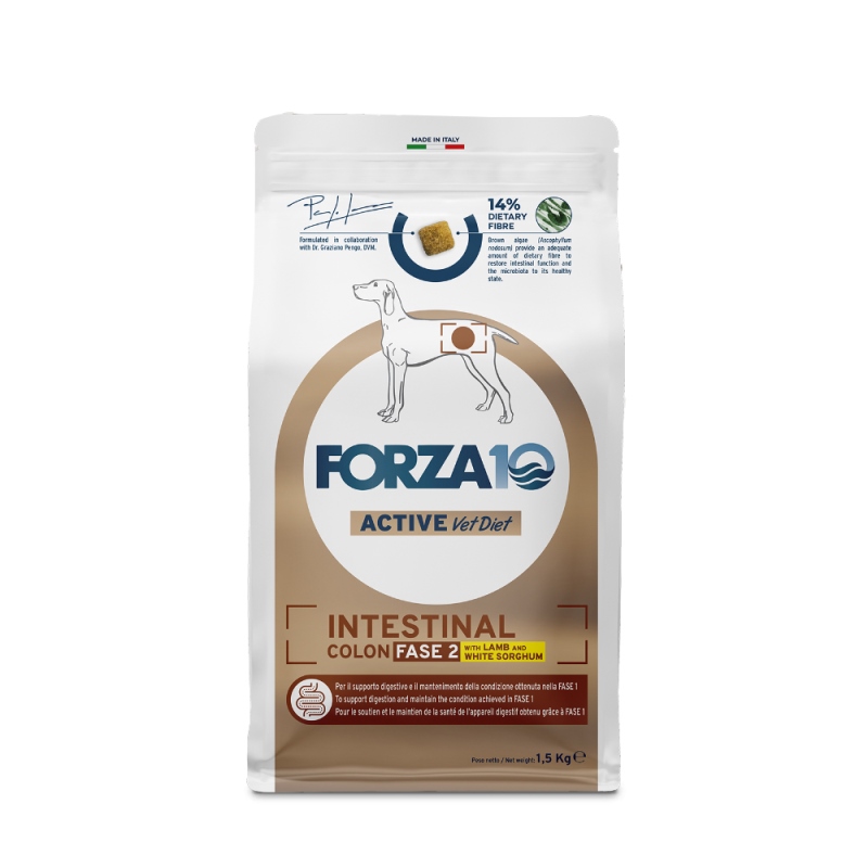 FORZA 10 Dog Intestinal Colon Fase 2 με αρνί & σόργο