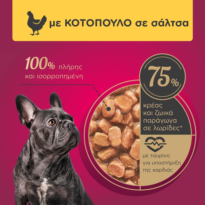 MY LOVE Adult σε σάλτσα 100gr