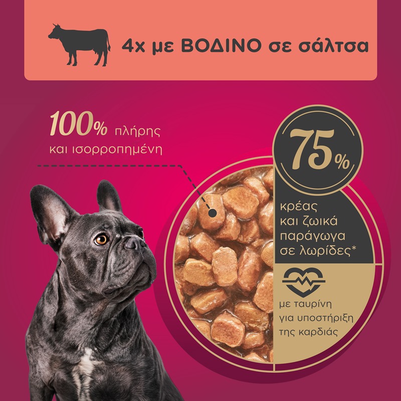 MY LOVE Adult σε σάλτσα multipack 4x100gr - Γαλοπούλα