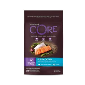 Puppy Small-Medium Breed Ocean