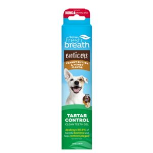 Fresh Breath Enticers Oral Care Gel