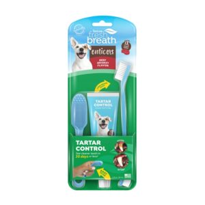 Fresh Breath Enticers Oral Care Kit - Βοδινό