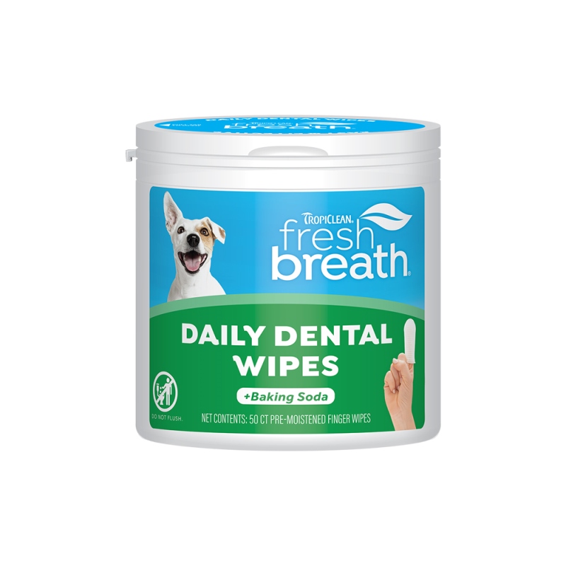 Dental Wipes 50τμχ.