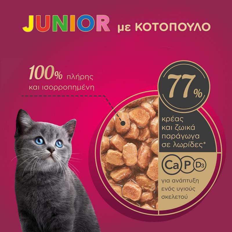 MY LOVE Kitten σε σάλτσα 85gr Κοτόπουλο
