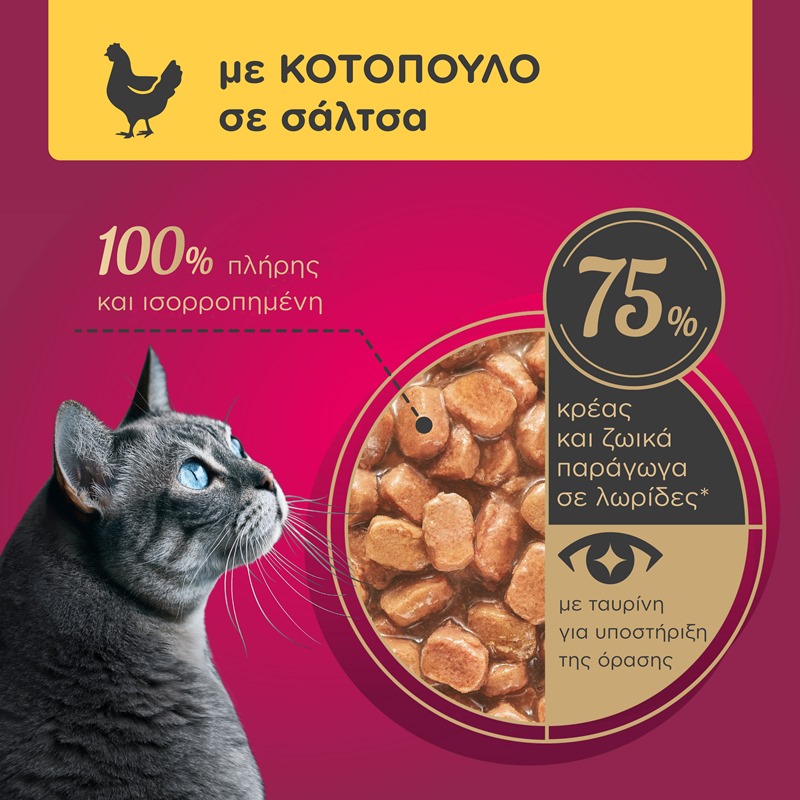 MY LOVE Adult σε σάλτσα 85gr