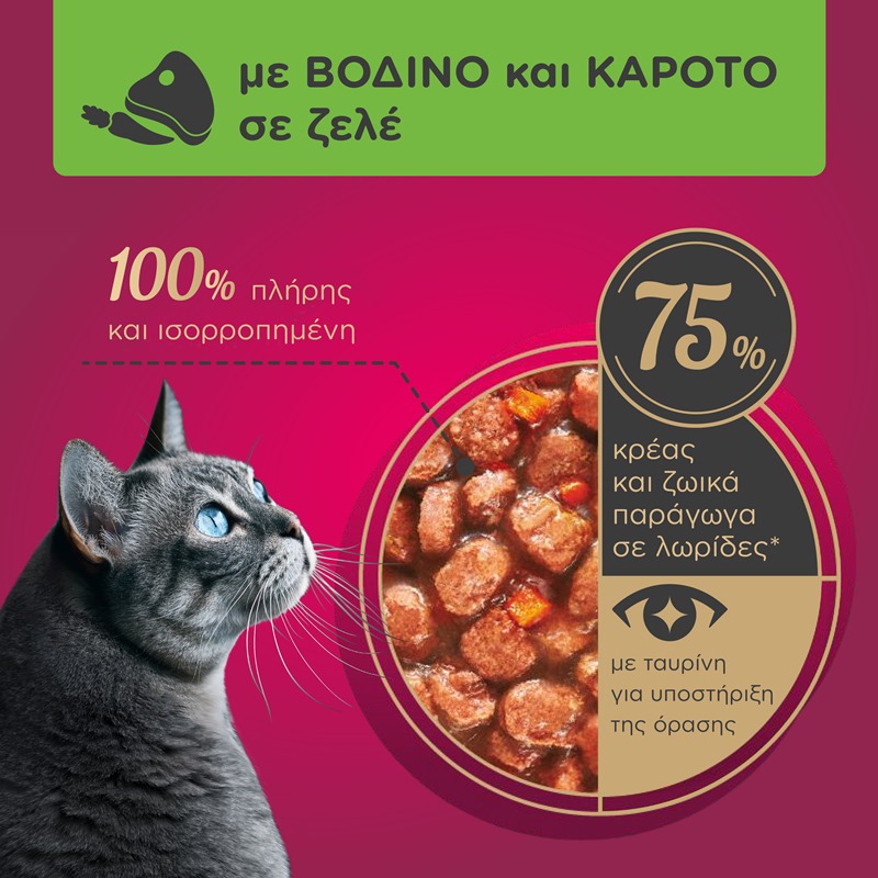 MY LOVE Cat Adult σε σάλτσα 85gr