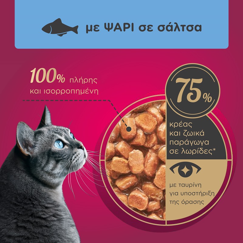 MY LOVE Multipack 4x85gr με ψάρι σε σάλτσα