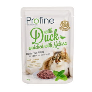 Petline's - Home 4 Delicate Fillets in Jelly