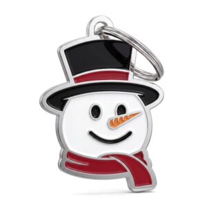 Εορταστική Ταυτότητα FROSTY