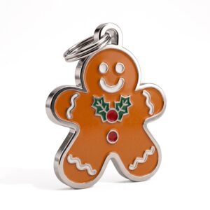 Εορταστική Ταυτότητα GINGER