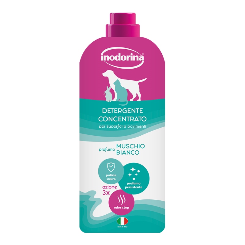 INODORINA Καθαριστικό Δαπέδου 1L
