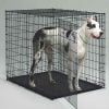 SOLUTIONS Συρμάτινα κλουβιά εκπαίδευσης & μεταφοράς με 2 πόρτες για μεγάλους σκύλους
