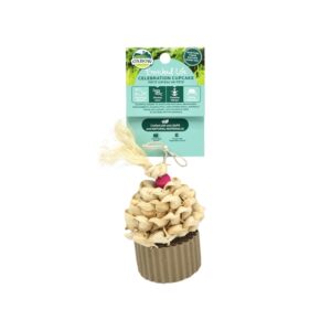 Celebration Cupcake - one size