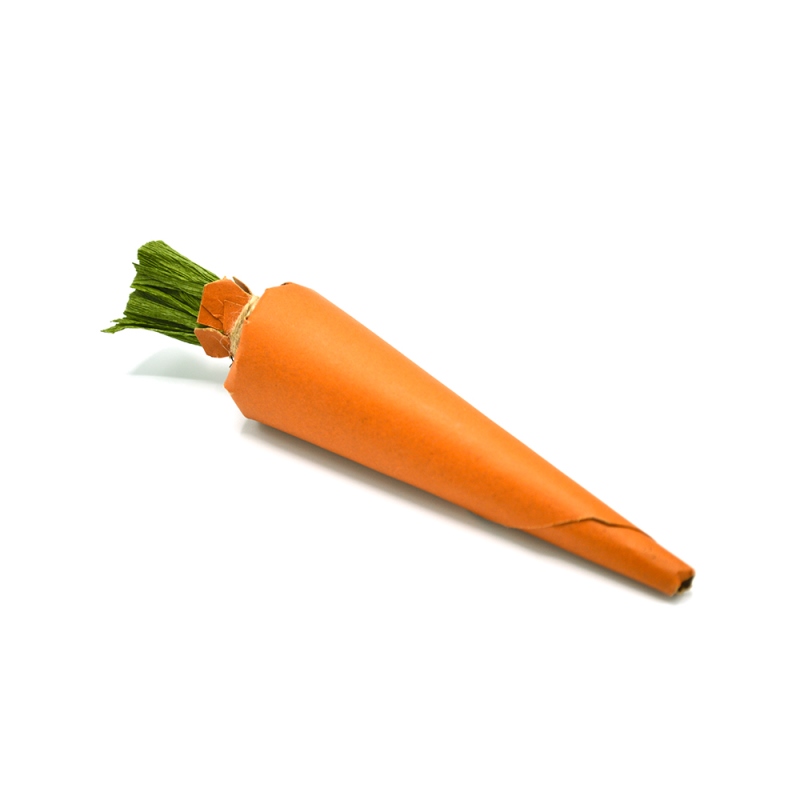 Crunchy Carrot - one size