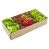 Garden Dig Box - one size